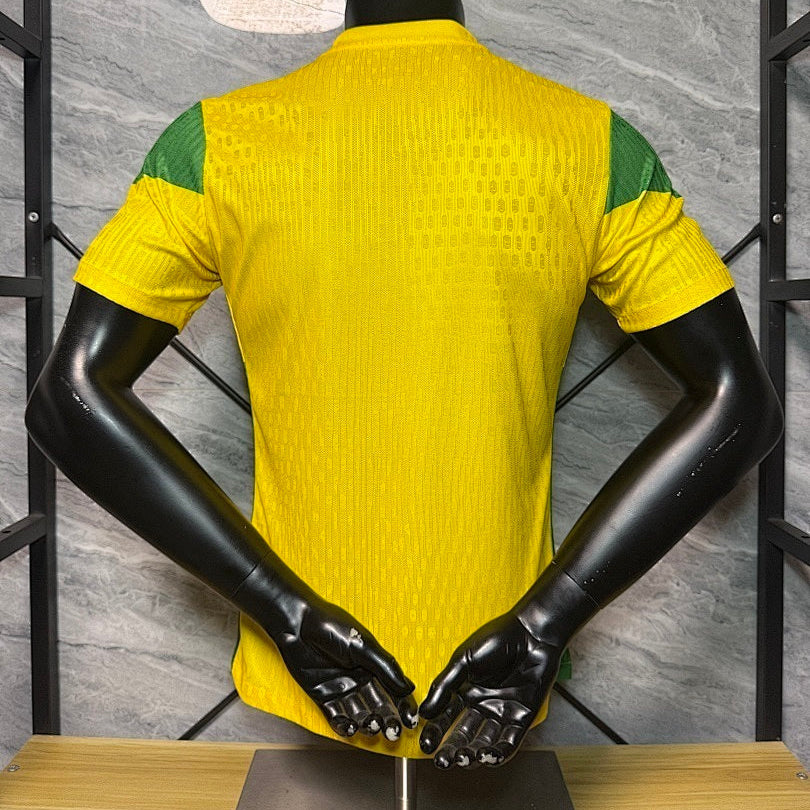 Maillot Bénin 2025/2026 Version Player