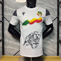 Benin Trikot 2025/2026 Spielerversion