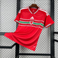 Camiseta Gales 2025/2026 Copa del Mundo