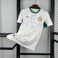 Senegal Trikot 2026 Fan-Version Heim 2 STERNE AFRIKAMEISTER