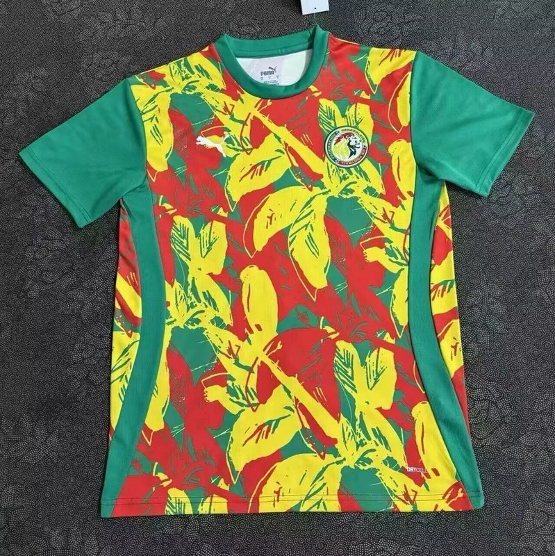 Maillot Sénégal Entrainement 2025/2026 Version Fans